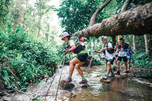 BIB: 
                            <button type="button" onclick="openModal(25373270)" class="btn btn-primary btn-sm float-right btn-popup" data-toggle="modal" data-target=".modal-high-quality">
                        <i class="fas fa-shopping-cart"></i> Add to Cart
                    </button>
                                            <button type="button" onclick="isThisMe(25373270, true)" class="btn btn-success btn-sm float-right btn-popup btn-isme hidden" data-toggle="tooltip" data-placement="bottom" title="นี่คือรูปของคุณใช่ไหม คลิกที่นี่เพื่อเอาเข้าอัลบั้ม">
                        <i class="fas fa-plus"></i> Add to album
                    </button>
                    <button type="button" onclick="isThisMe(25373270, false)" class="btn btn-warning btn-sm float-right btn-popup btn-isnotme hidden">
                        <i class="fas fa-ban"></i> Remove from album
                    </button>